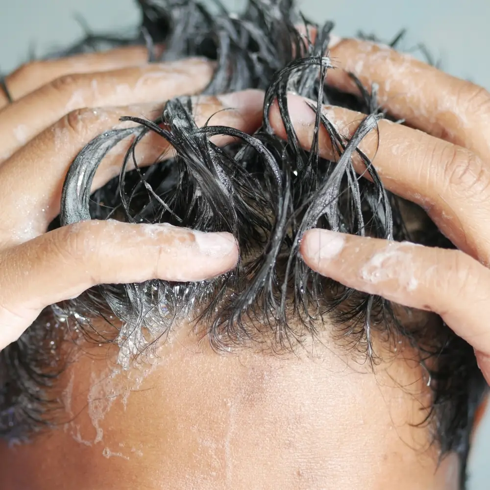 Ceel Rosemary Anti-Haarausfall Shampoo – Mit Kollagen & Keratin, Silikonfrei & Biologisch Abbaubar