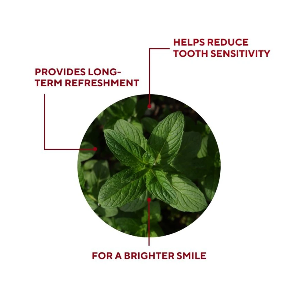 Protective Toothpaste for Sensitive Teeth 75 ml