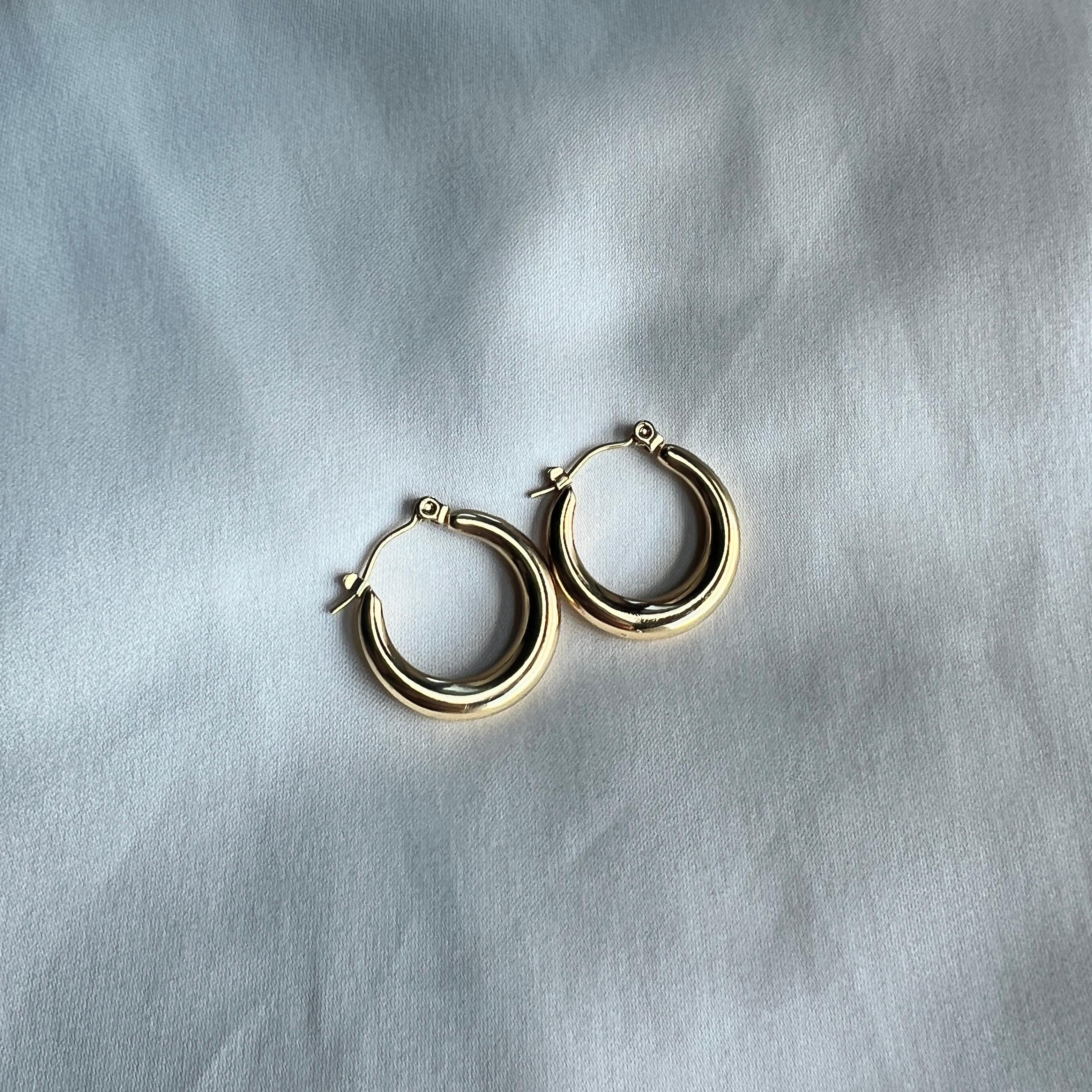 Hoop Stainless Steel Earrings