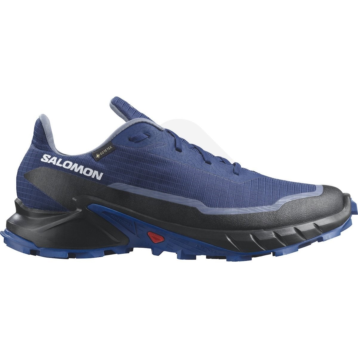 Salomon Alphacross 5 Gtx Erkek Patika Koşusu Ayakkabısı L47309200