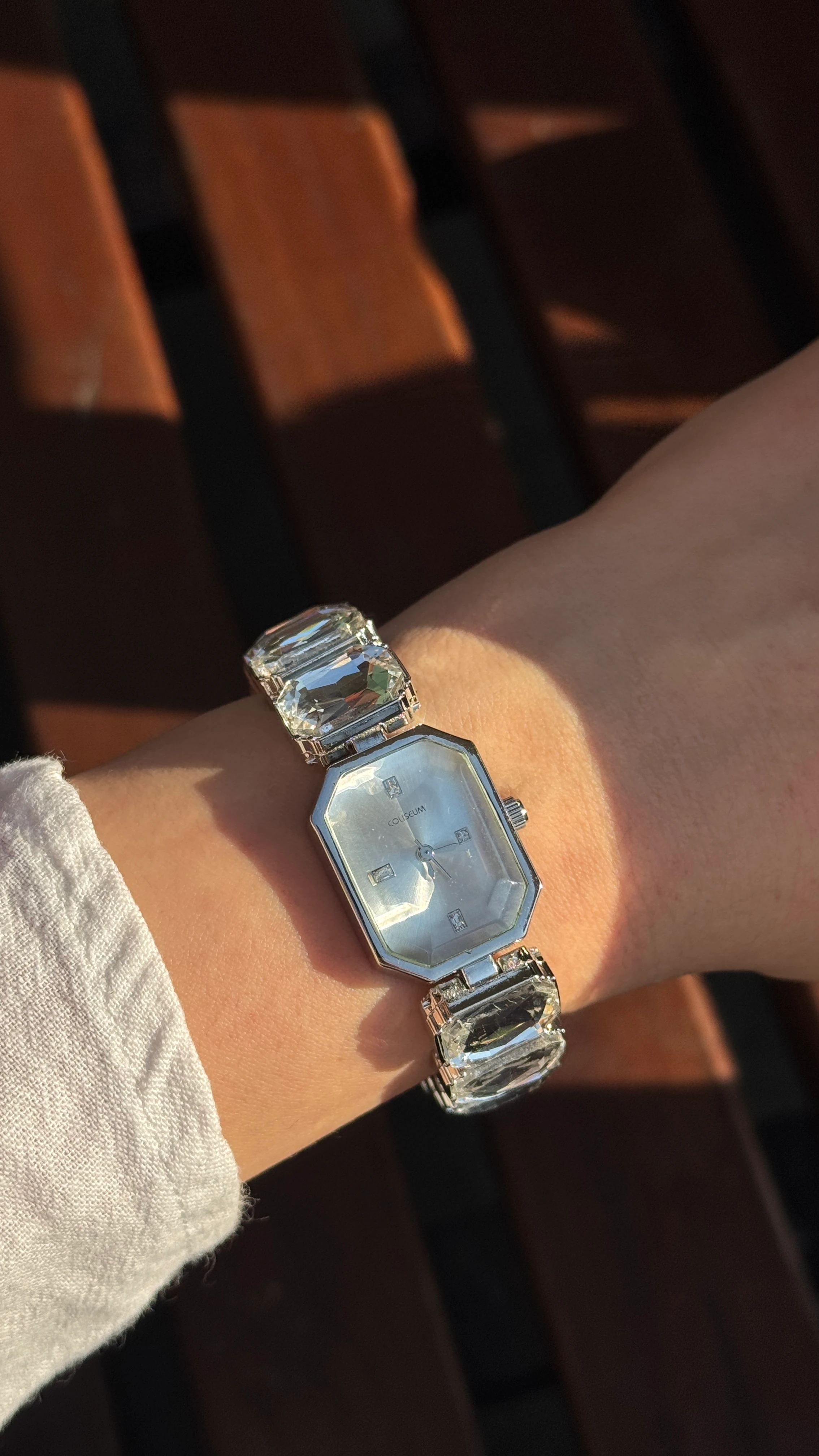 Shine Taşlı Çelik Kordon Saat