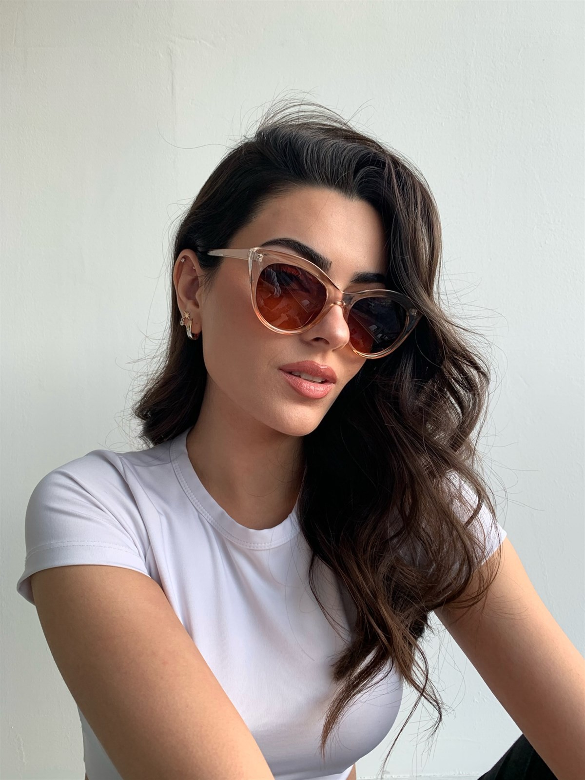 Wedge Güneş Gözlüğü Nude Çerçeve Kahverengi Cam
