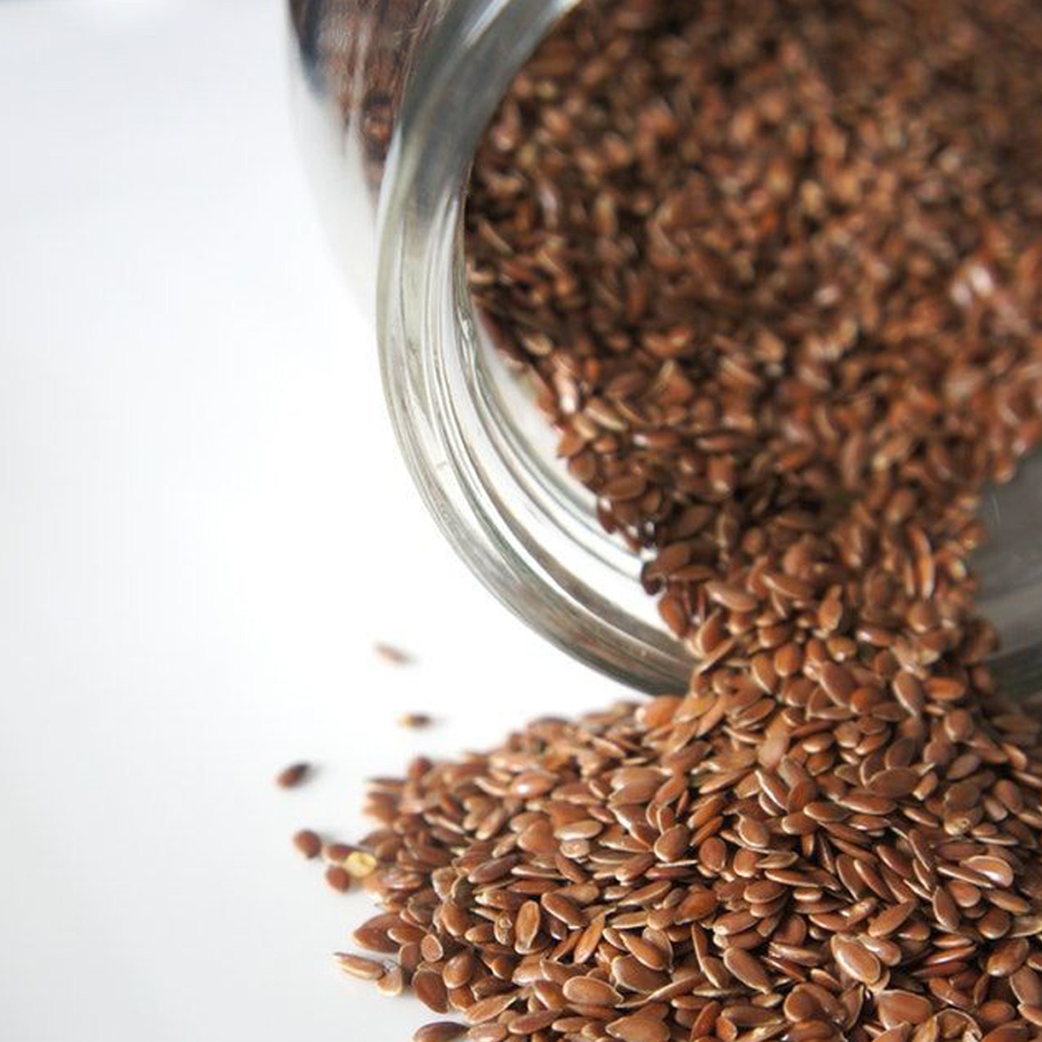 Flax Seed