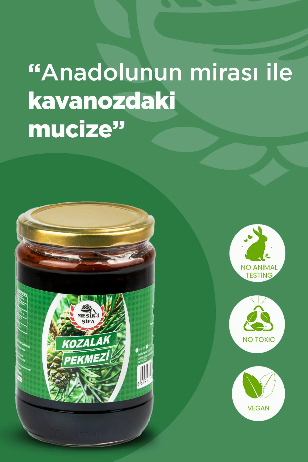 Kozalak Pekmezi 800g