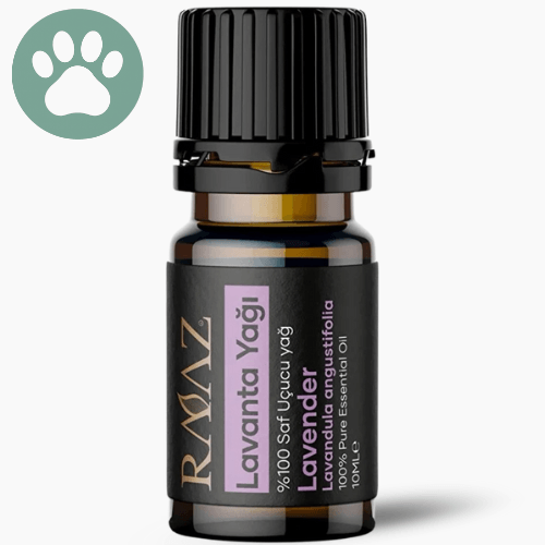 Lavanta Uçucu Yağı 10 ml - Evcil Dostlar İçin