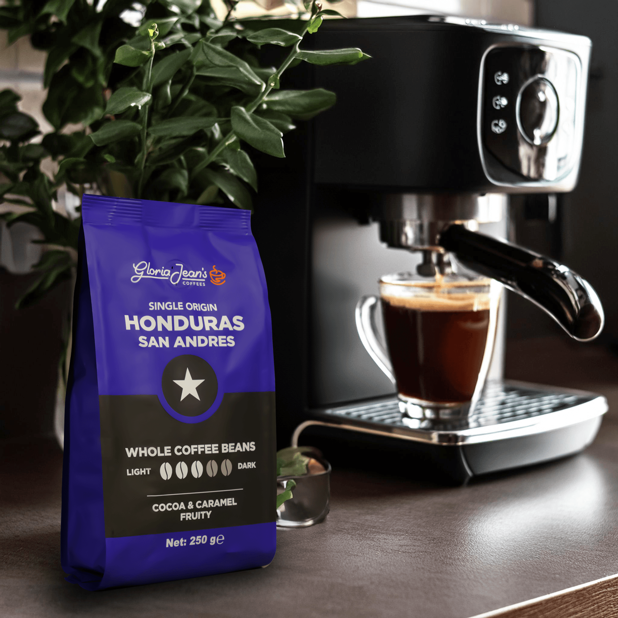 Gloria Jean's Honduras San Andres 250 Gr