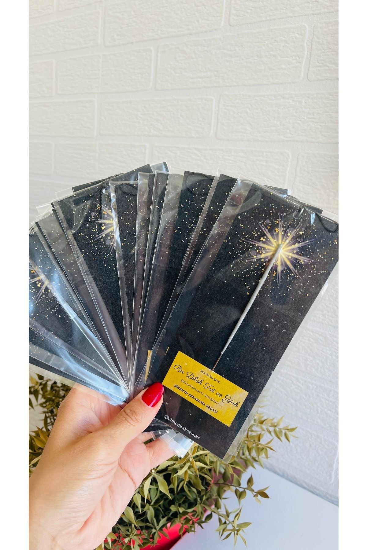 Dilek Meşalesi Kına Gecesi, Bekarlığa Veda Partisi Dilek Meşalesi/ 25’li