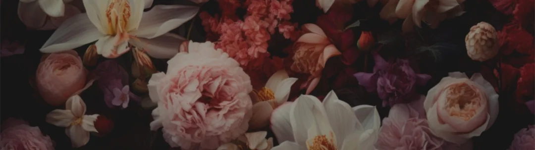 En güzel çiçek kokularından biri: Yasemin kokusu