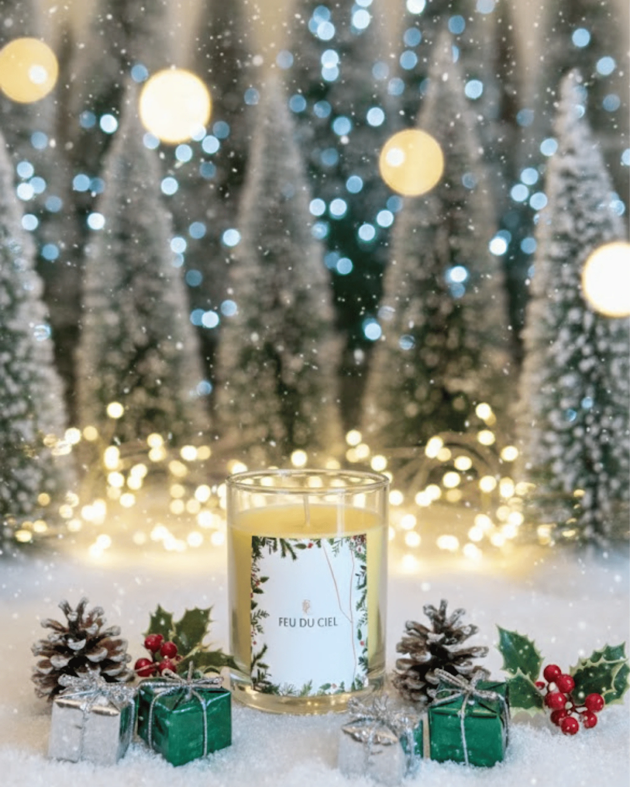 Gingerbread Zencefil Kokulu Mum