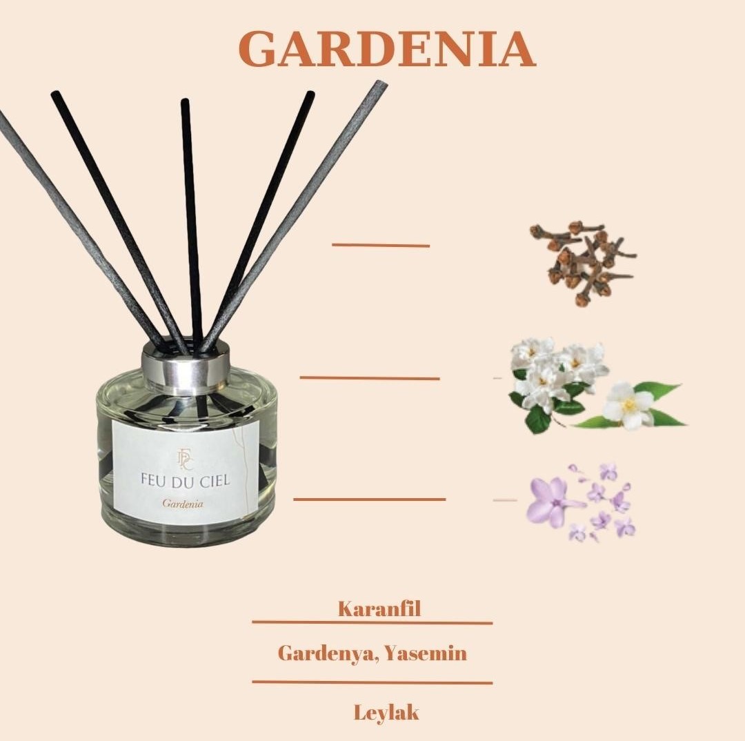 Floral & Fresh Gardenia Oda Kokusu