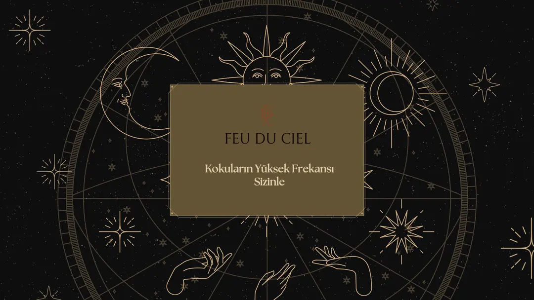 FEU DU CIEL kokulu mumları ve oda kokularını keşfedin.