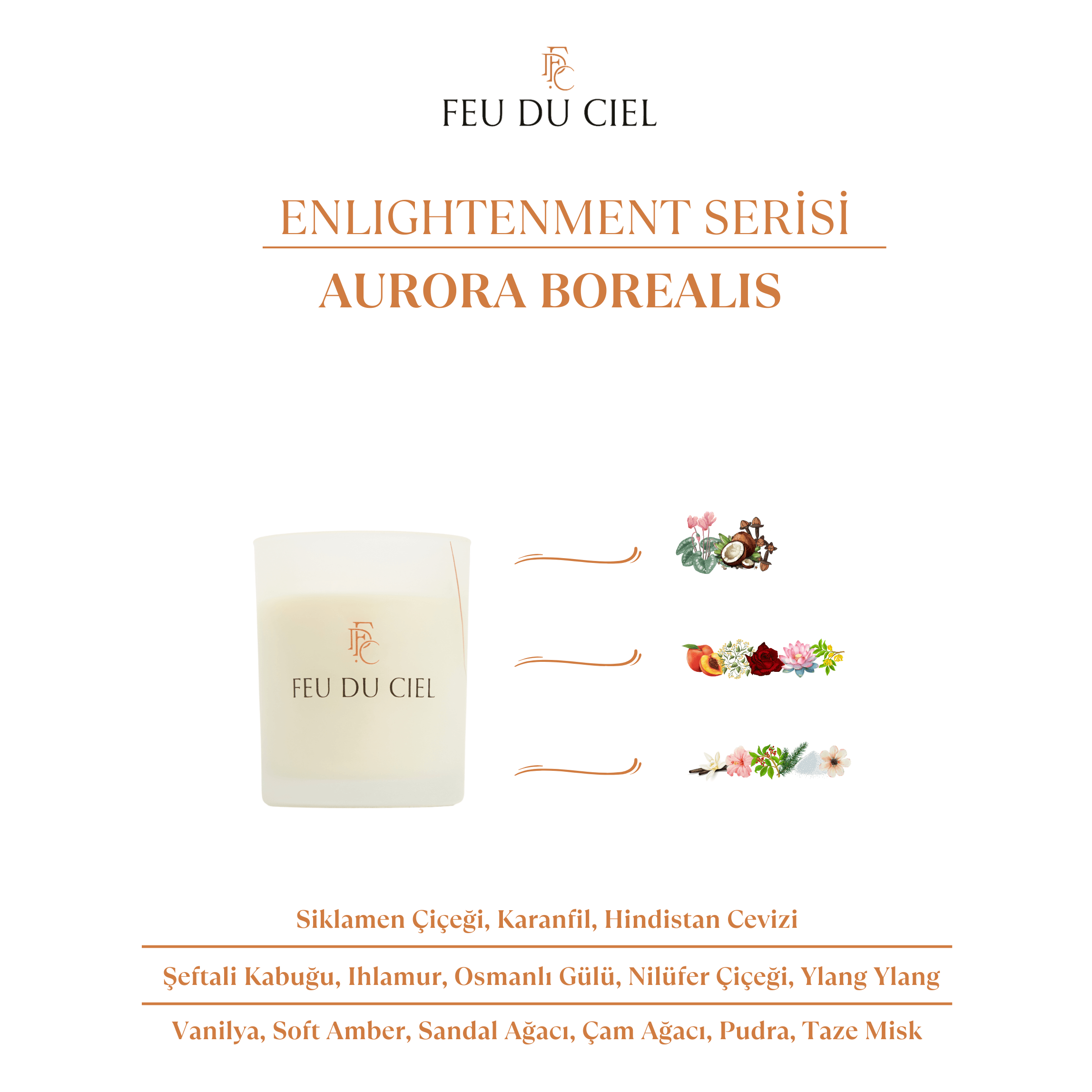 Enlightenment Aurora Borealis Pudra Kokulu Mum 150 gr
