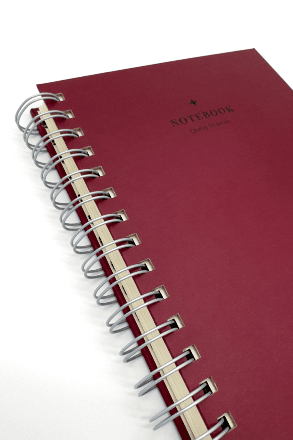 Biraru Bordo Çizgili & Noktalı Defter