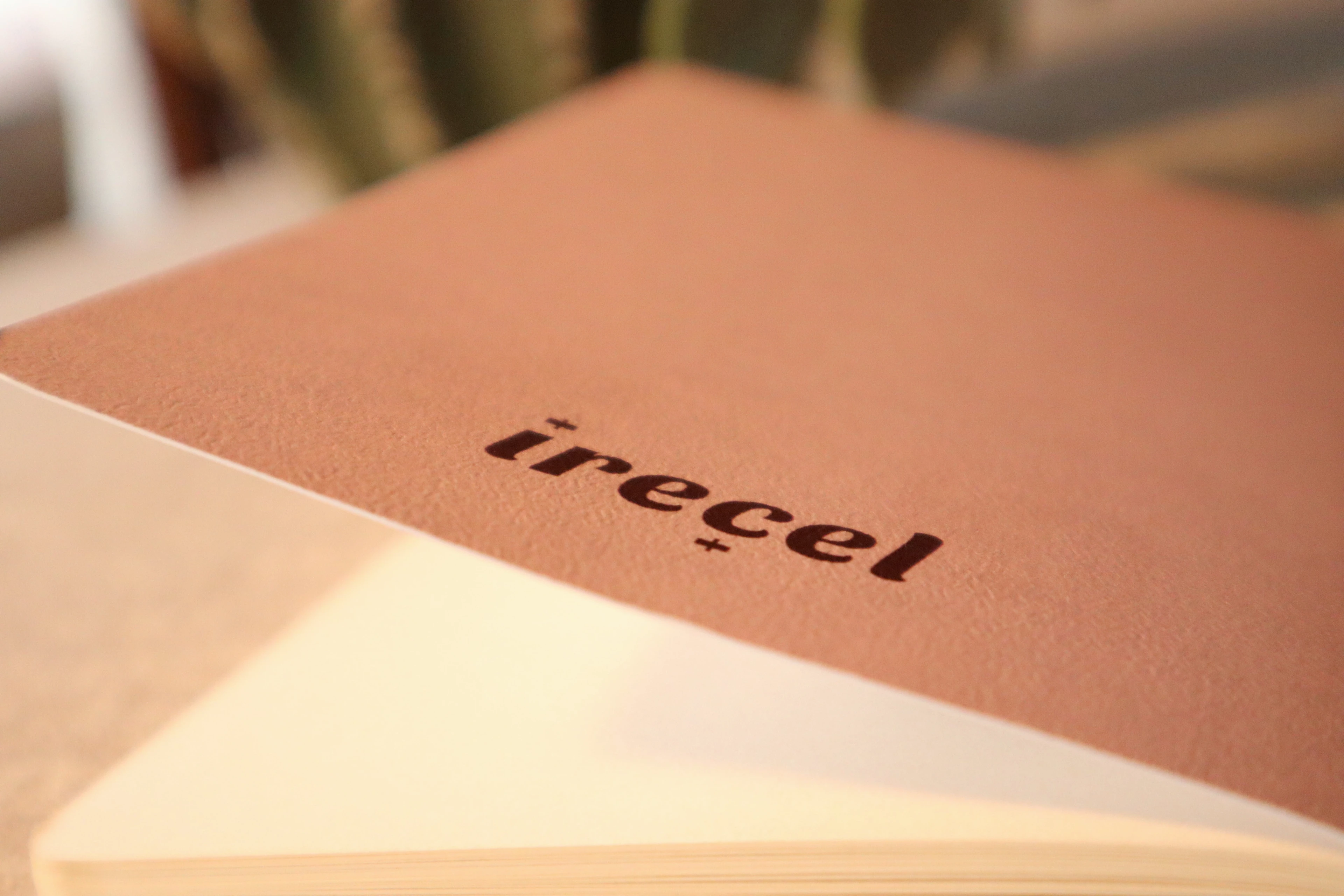 3 Defter // Kapital Defterleri Serisi