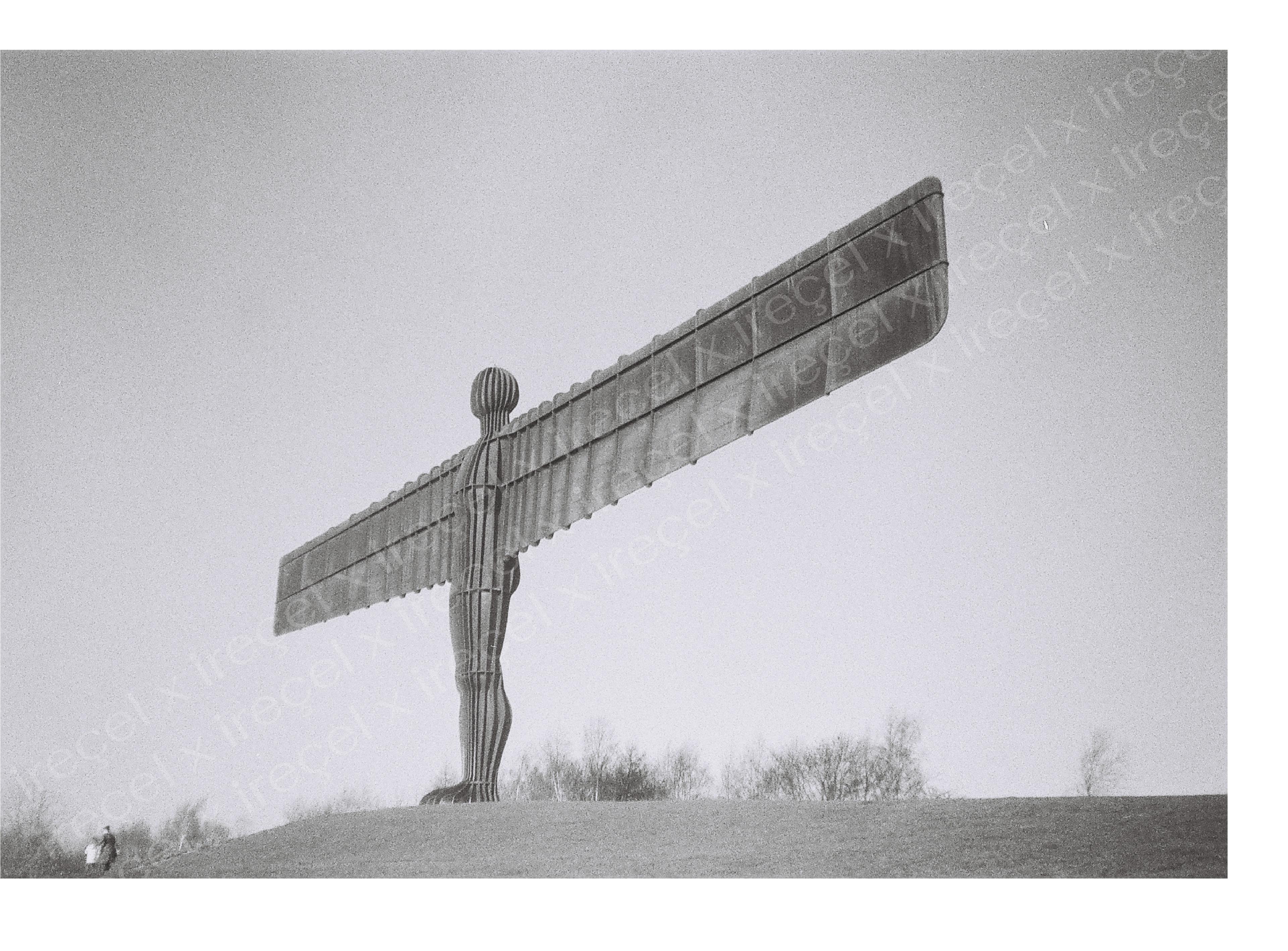 angel of the north, 2022 [analog fotoğraf]