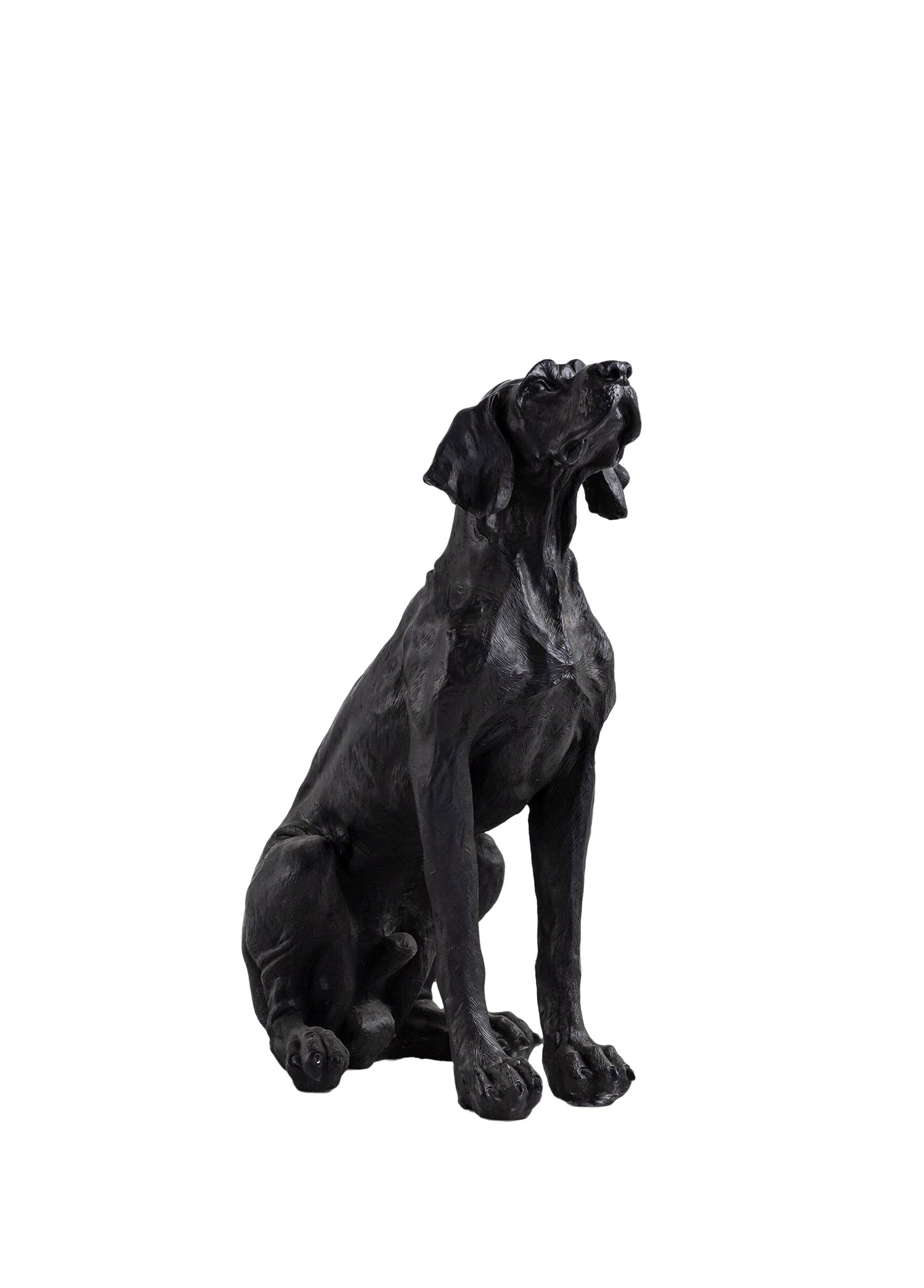 Siyah Dev Av Köpeği Dekoratif Büst