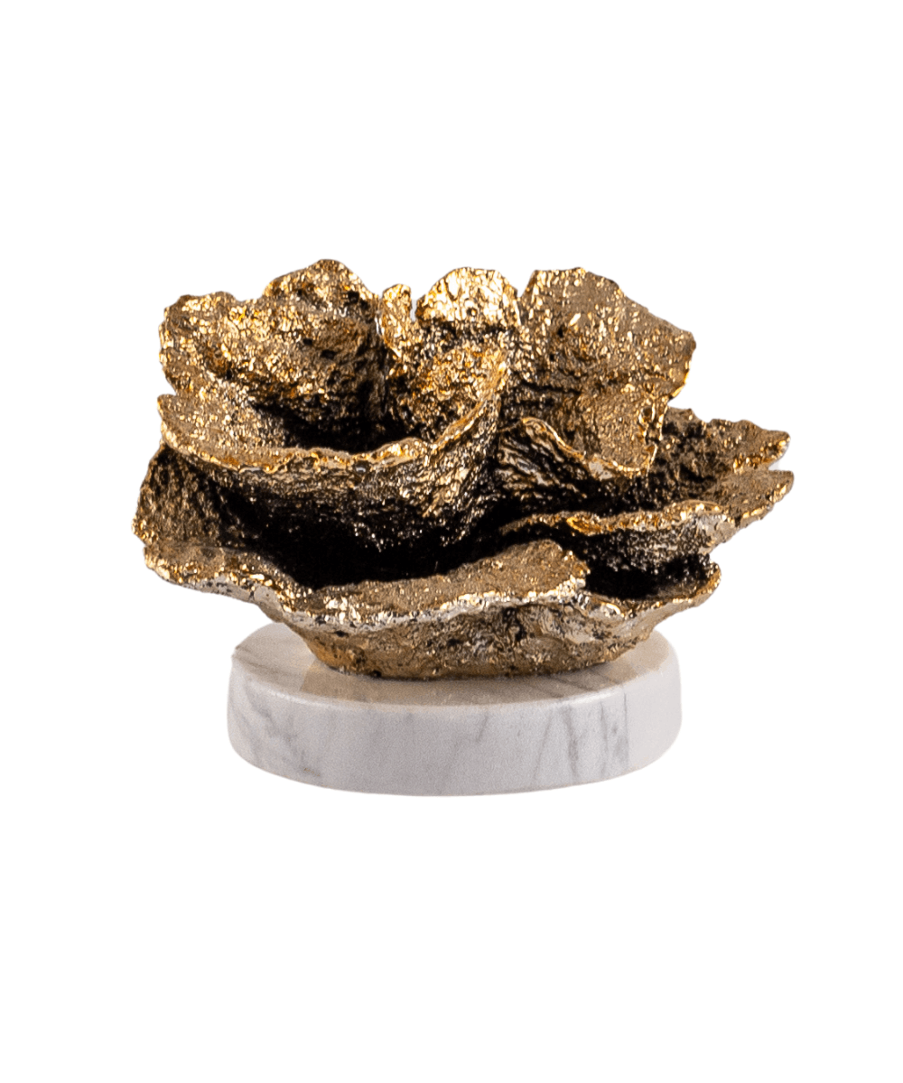 Gold Mermer Kaideli Mercan