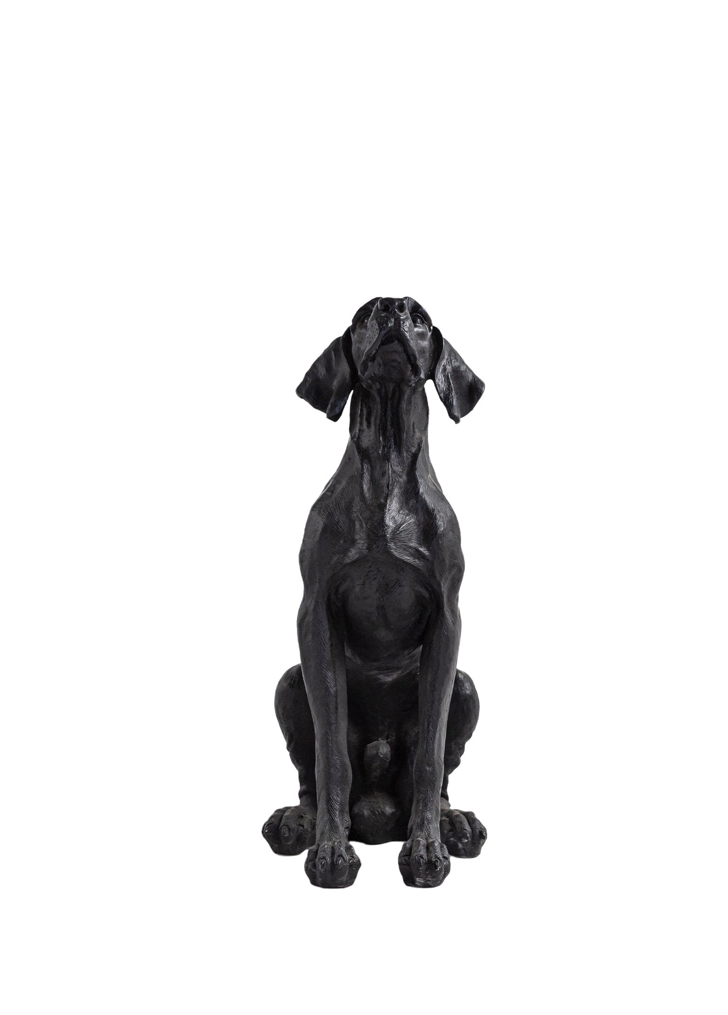 Siyah Dev Av Köpeği Dekoratif Büst