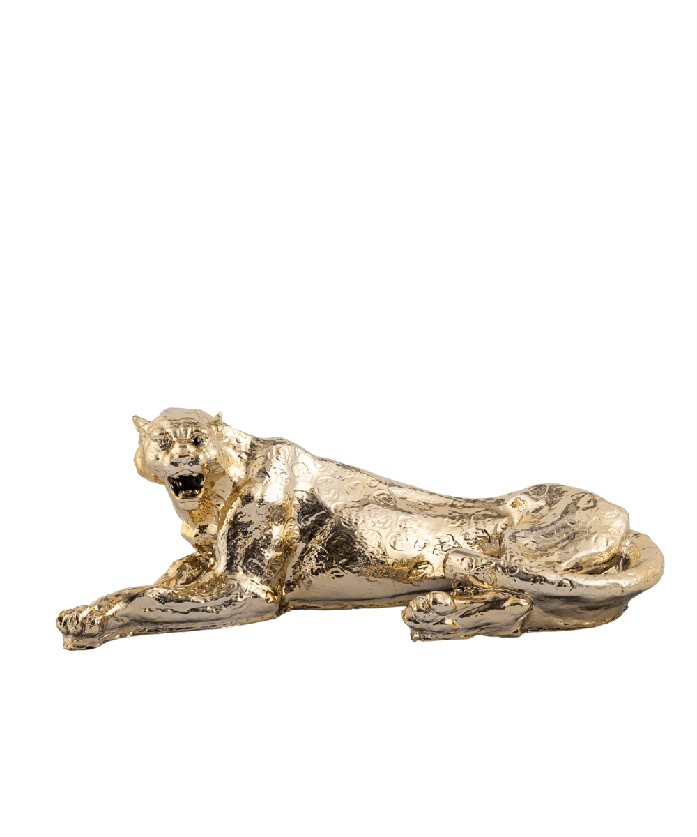 Gold Yata Büyük Leopar