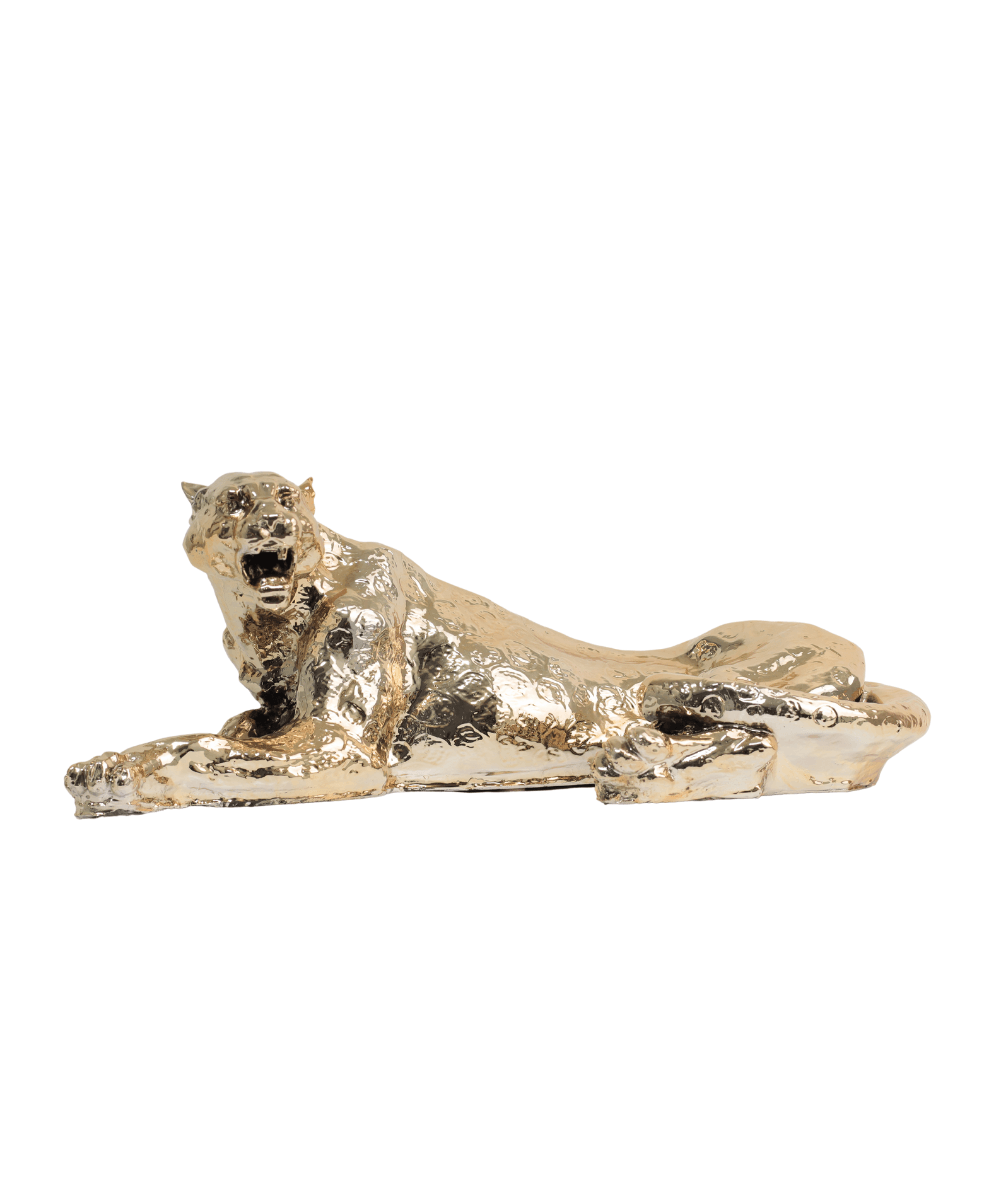 Yerde Uzanan Gold Leopar