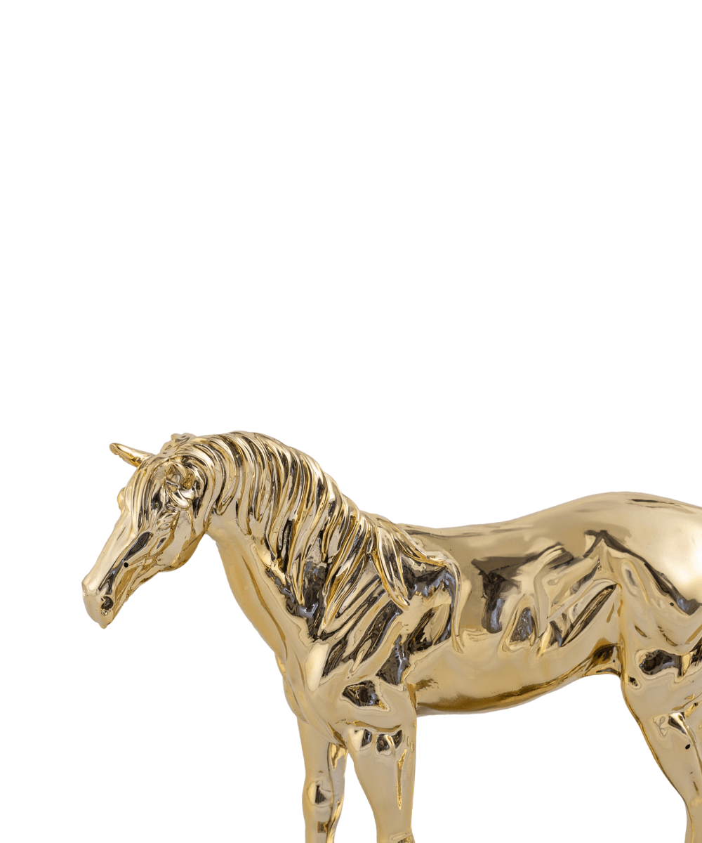 Gold Kaideli At Obje