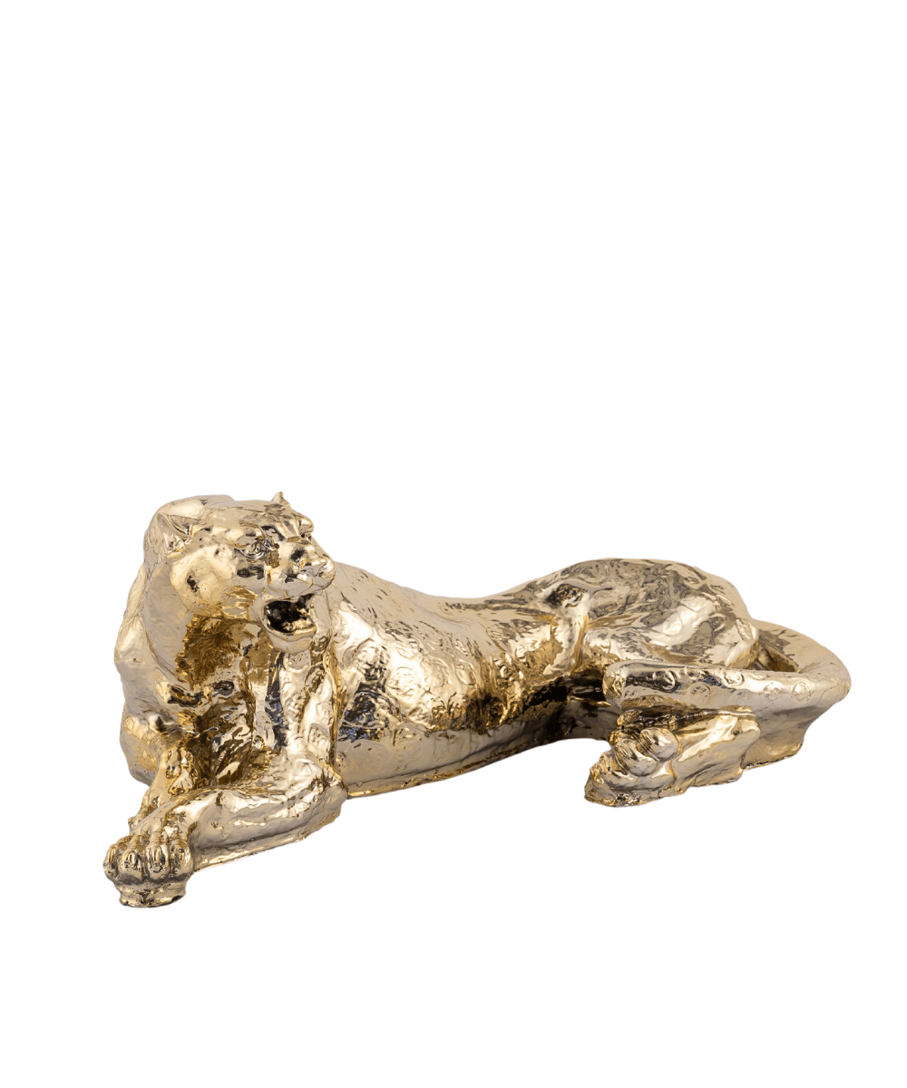 Gold Yata Büyük Leopar