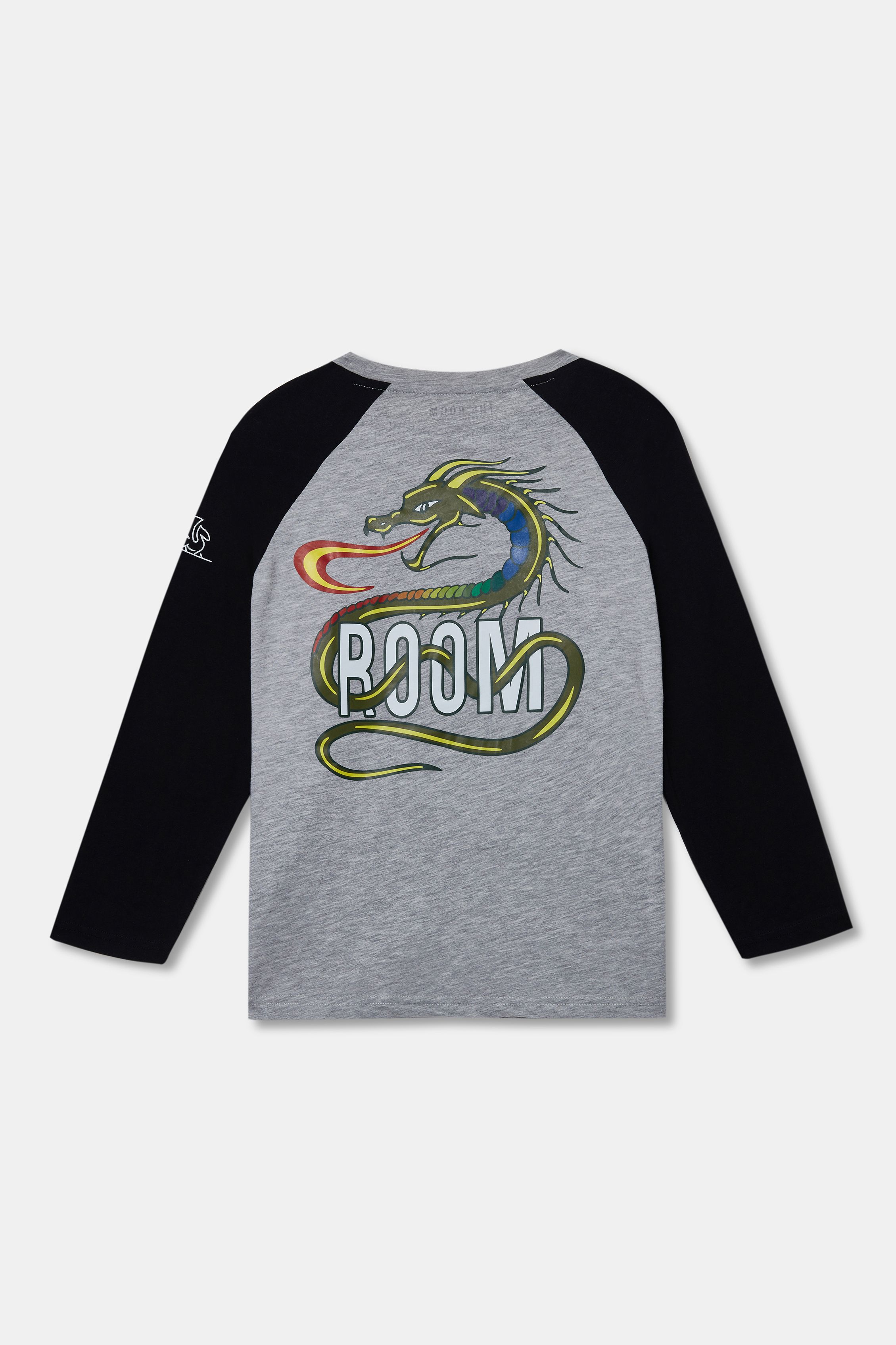 Dragon To Heal - Women Training Reglan T-Shirt