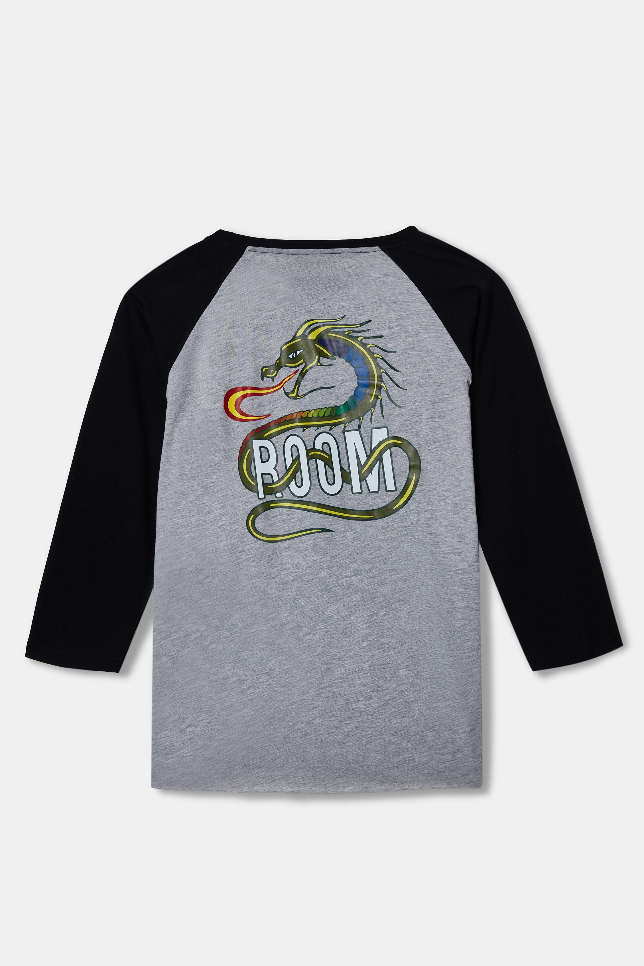 Dragon To Heal - Men Training Reglan T-Shirt