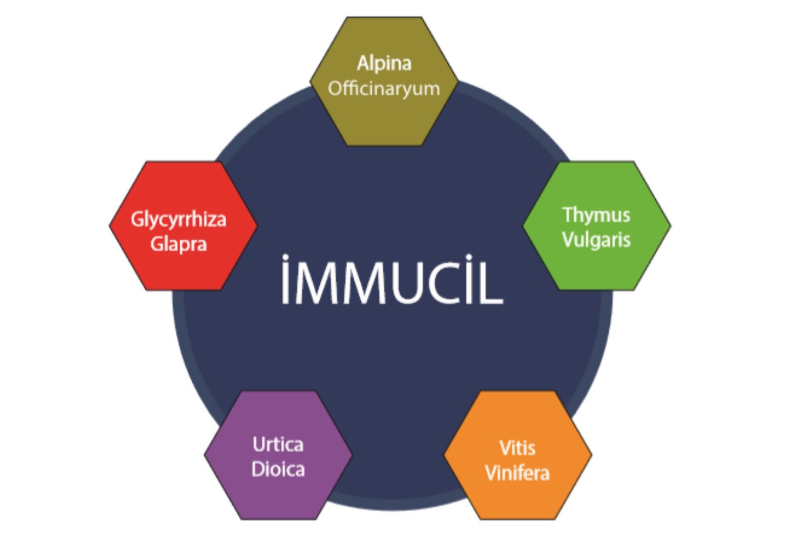 Immucil Bağışıklık Güçlendirici Gıda Takviyesi