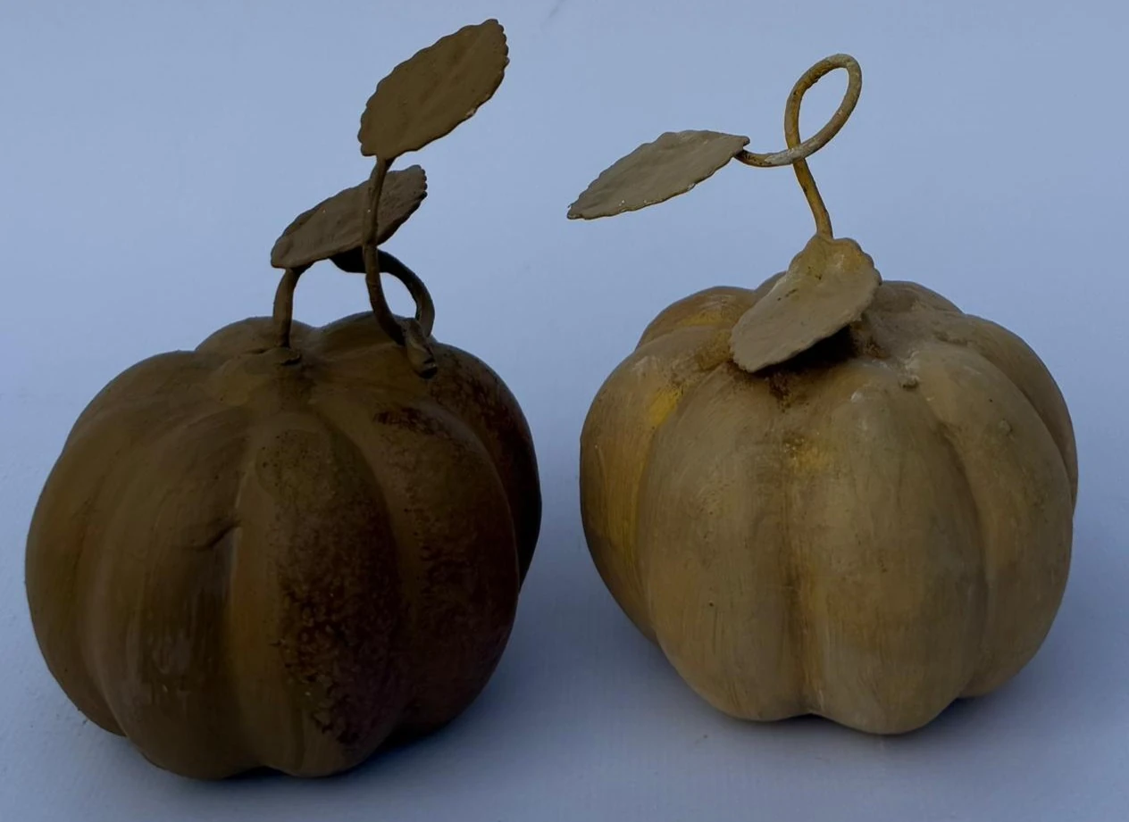 2'li Dekoratif bal kabağı