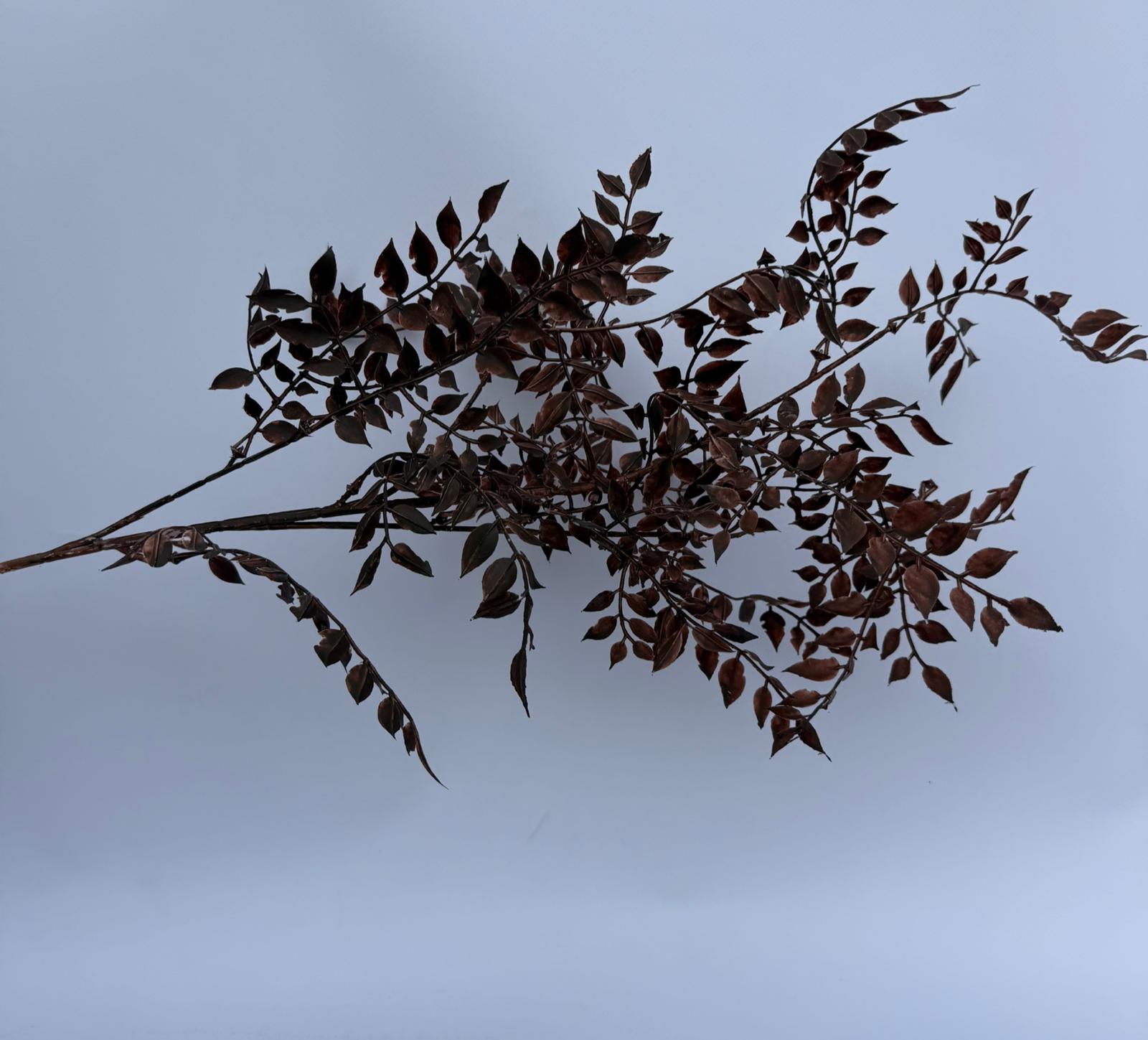 Kahverengi dekoratif dal 