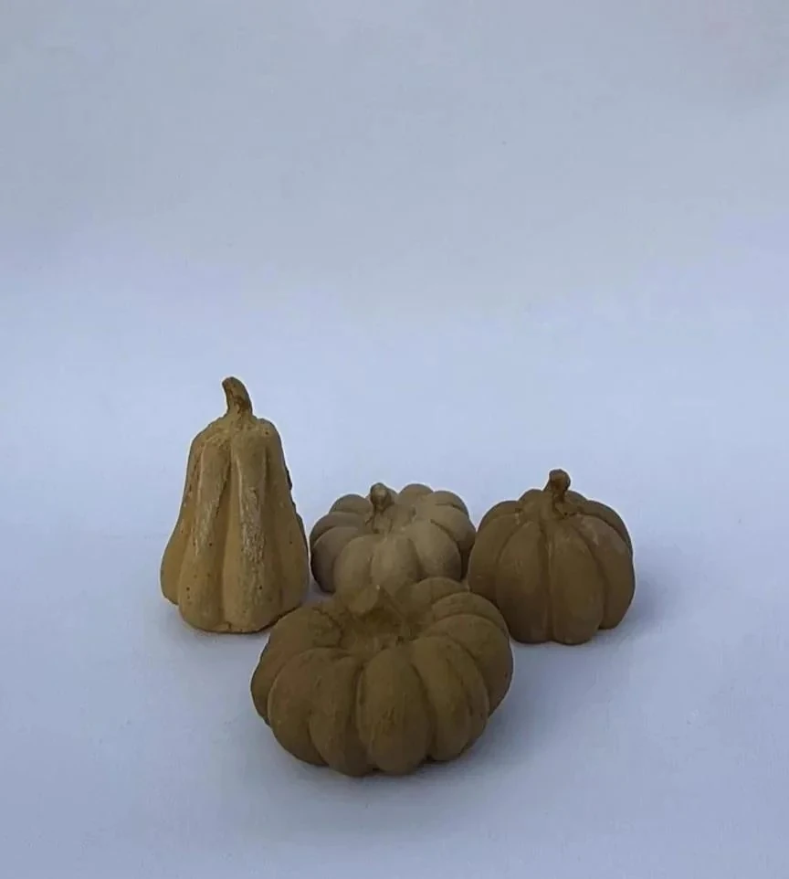 4'lü Dekoratif küçük bal kabağı 