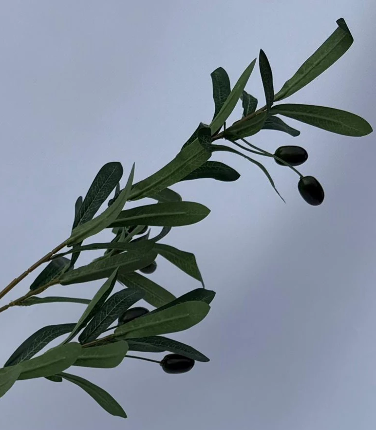 Dekoratif  yapay ZEYTİN  dal 