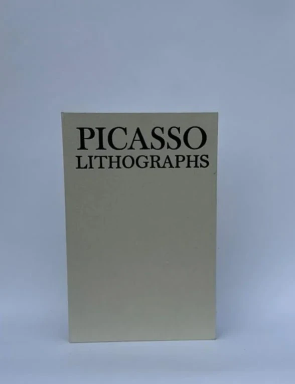 Keten Kaplamalı Dekoratif Kutu Kitap PİCASSO