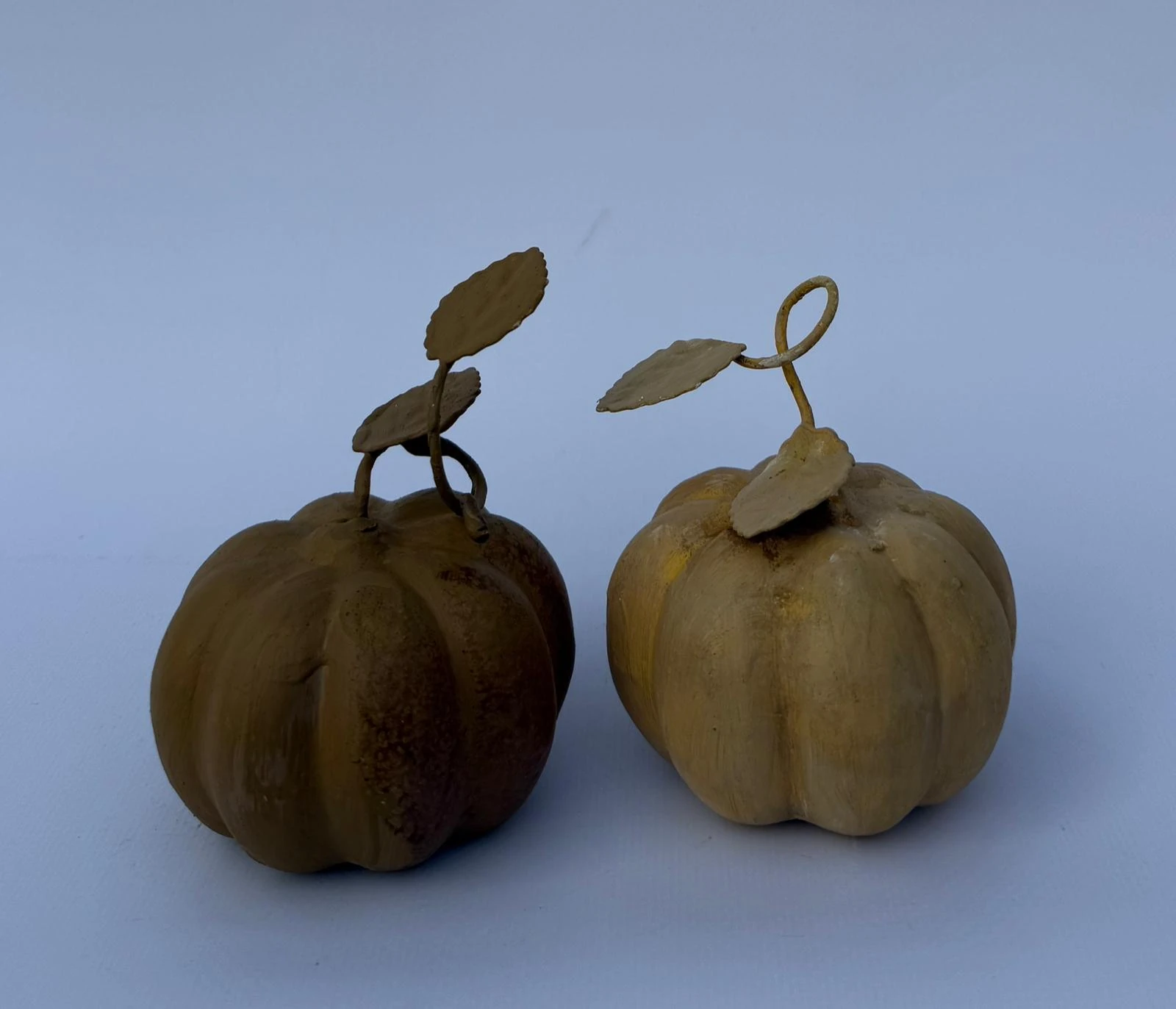 2'li Dekoratif bal kabağı