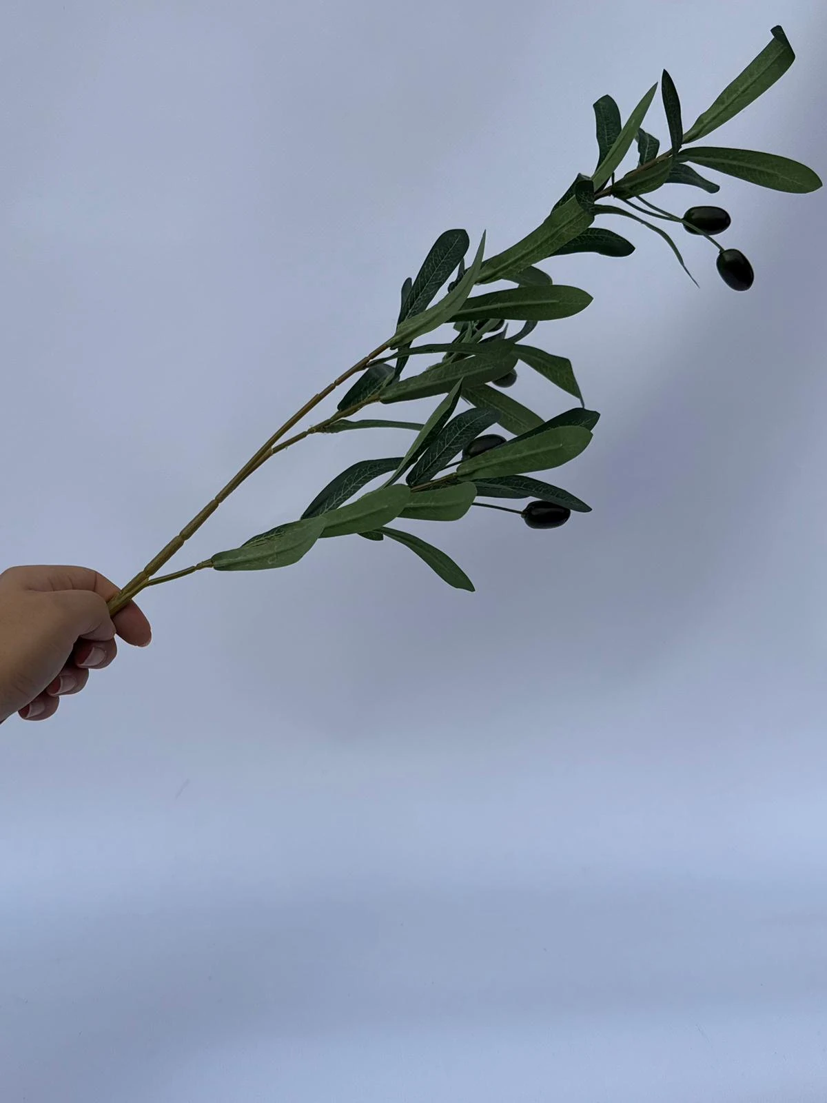 Dekoratif  yapay ZEYTİN  dal 