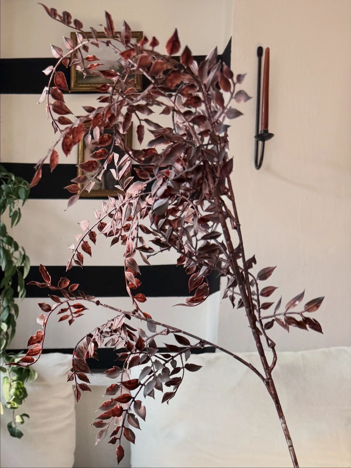 Kahverengi dekoratif dal 