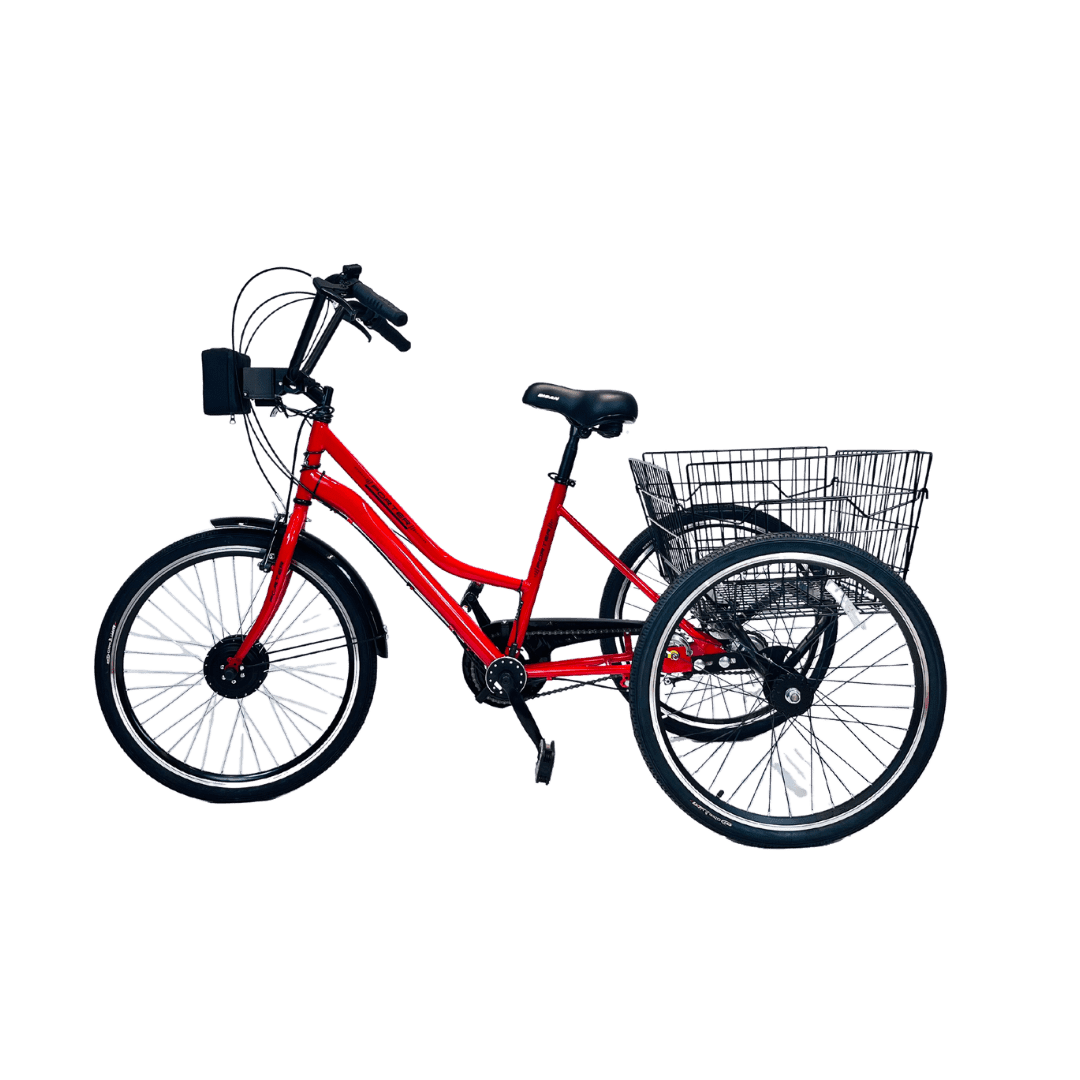 Bisan Porter + Byqee V23 Elektrikli Üç Tekerlekli (Kargo) Bisiklet