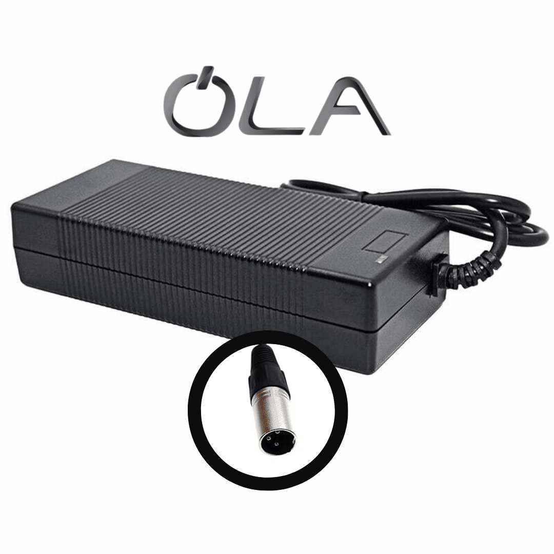 Byqee | OLA E-Bike Li-Ion Şarj Aleti (36V)
