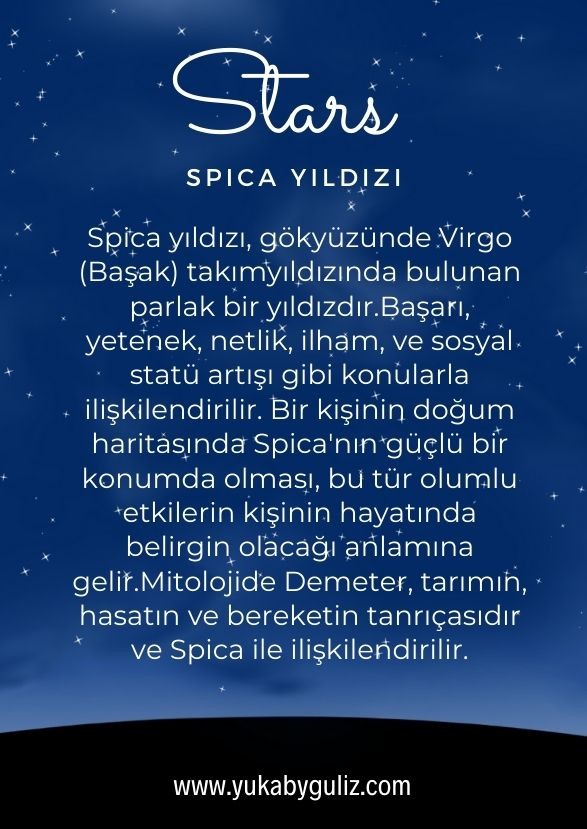 Rigel Yassı Zincir Kolye