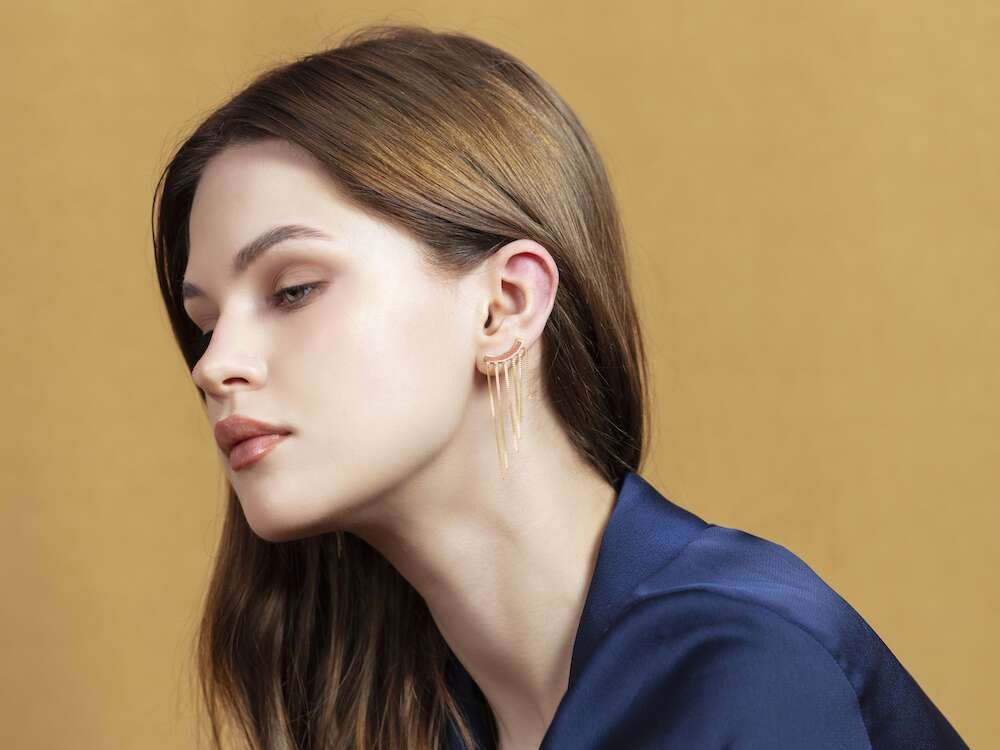 Segmental Earrings