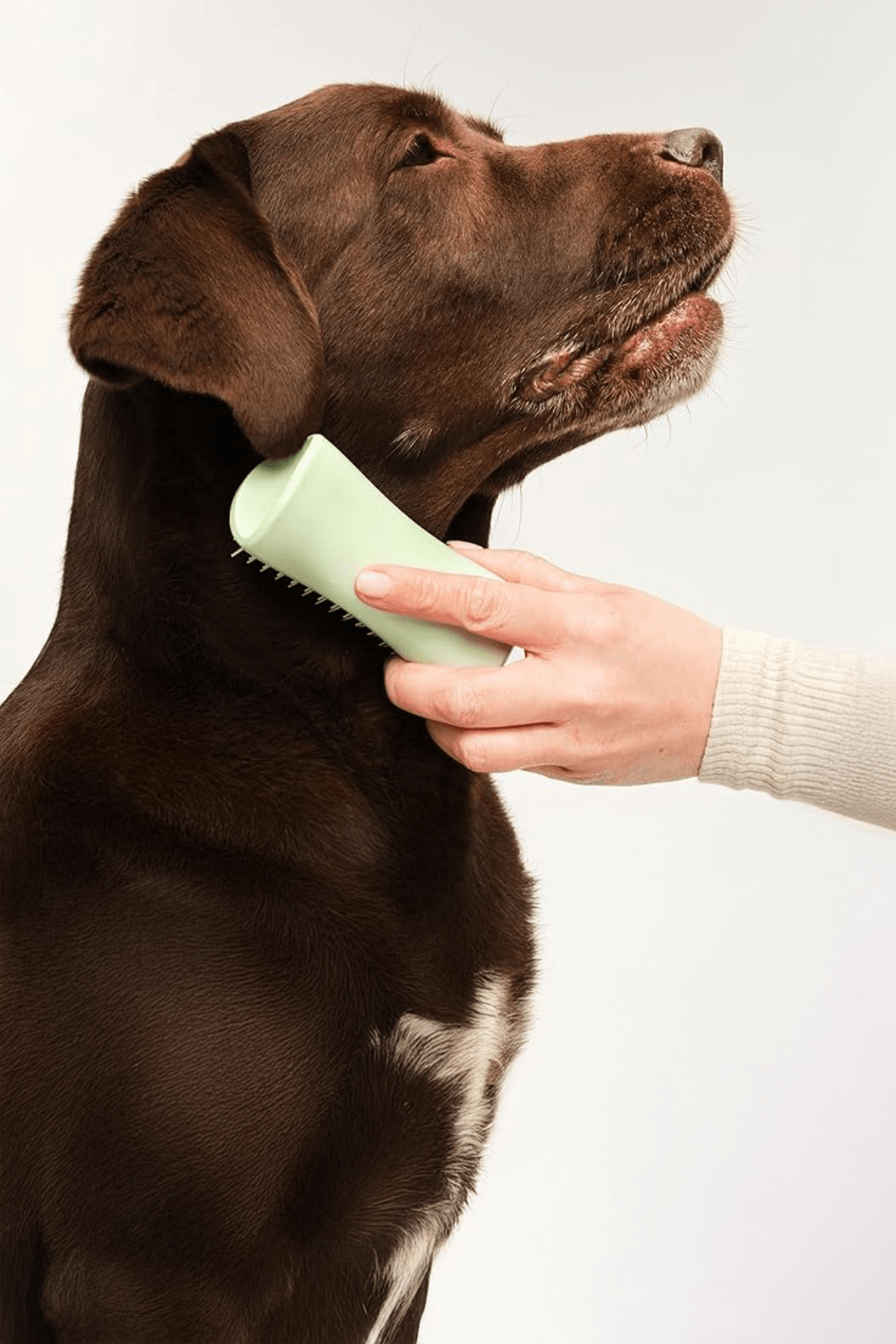 Pet Teezer-Puppy Brush-Green/Green