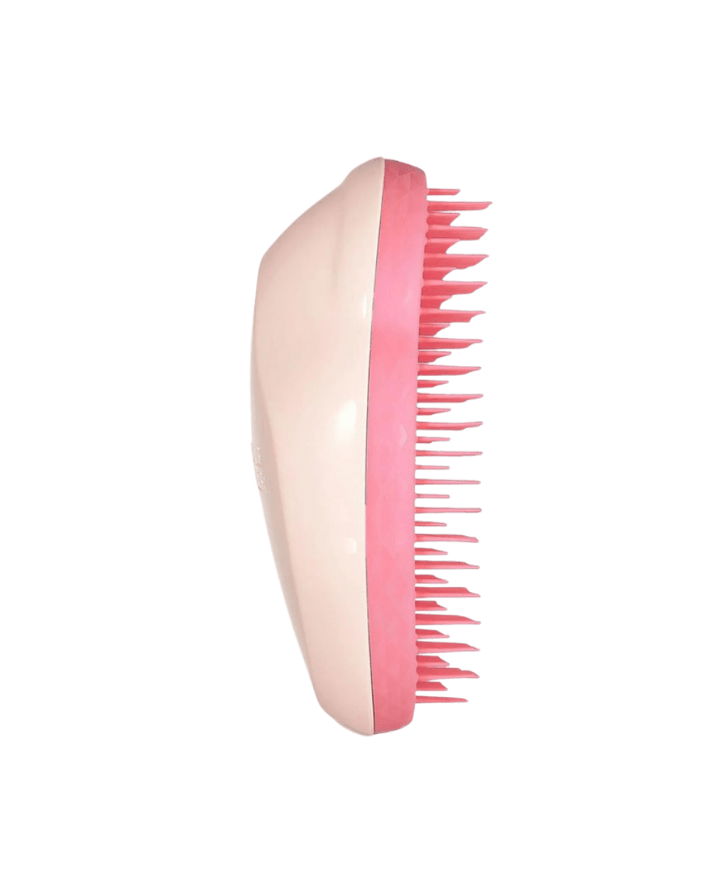 Original - Fine & Fragile - Pink / Coral