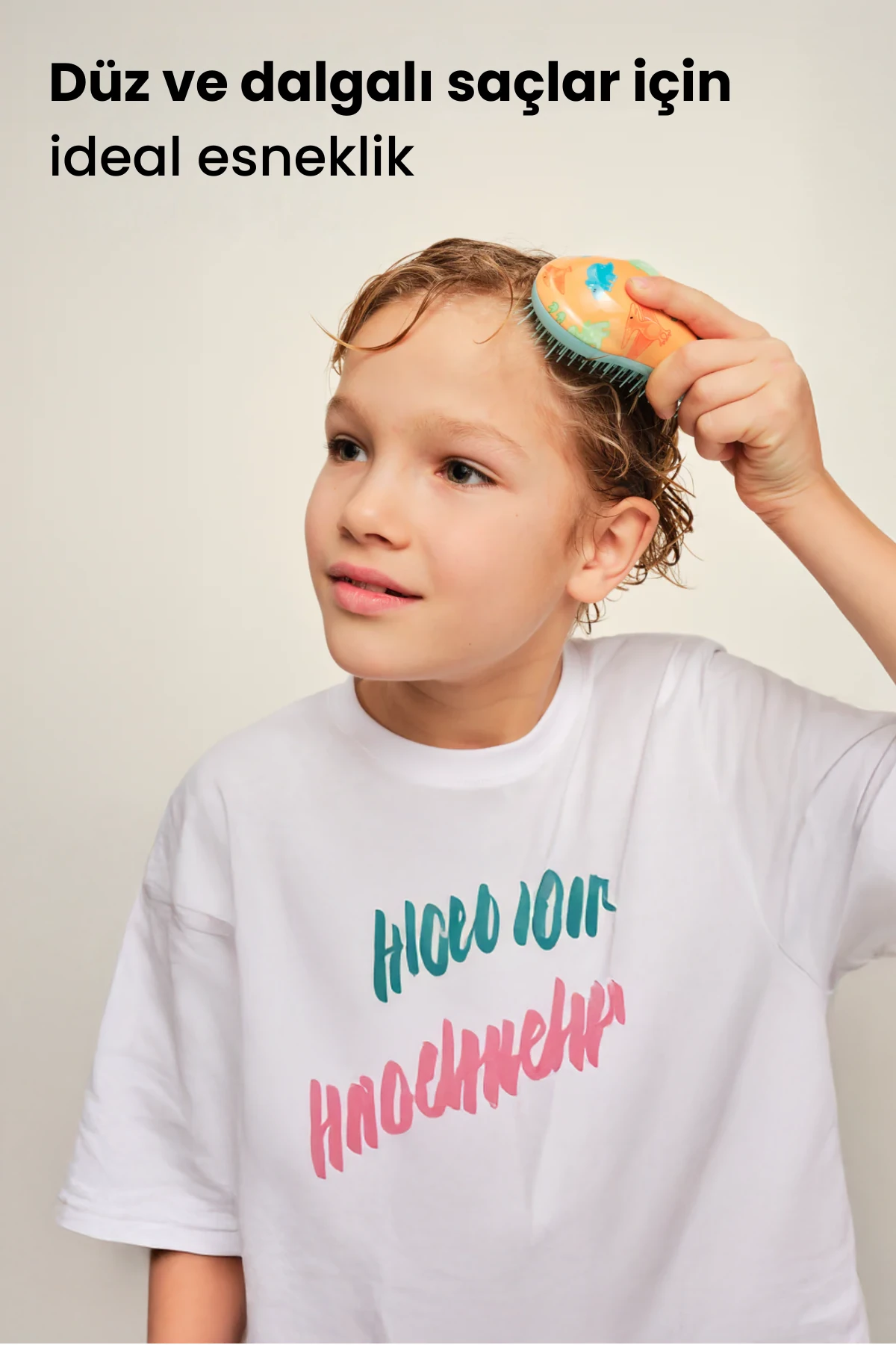 Small Original - Dinosaurs