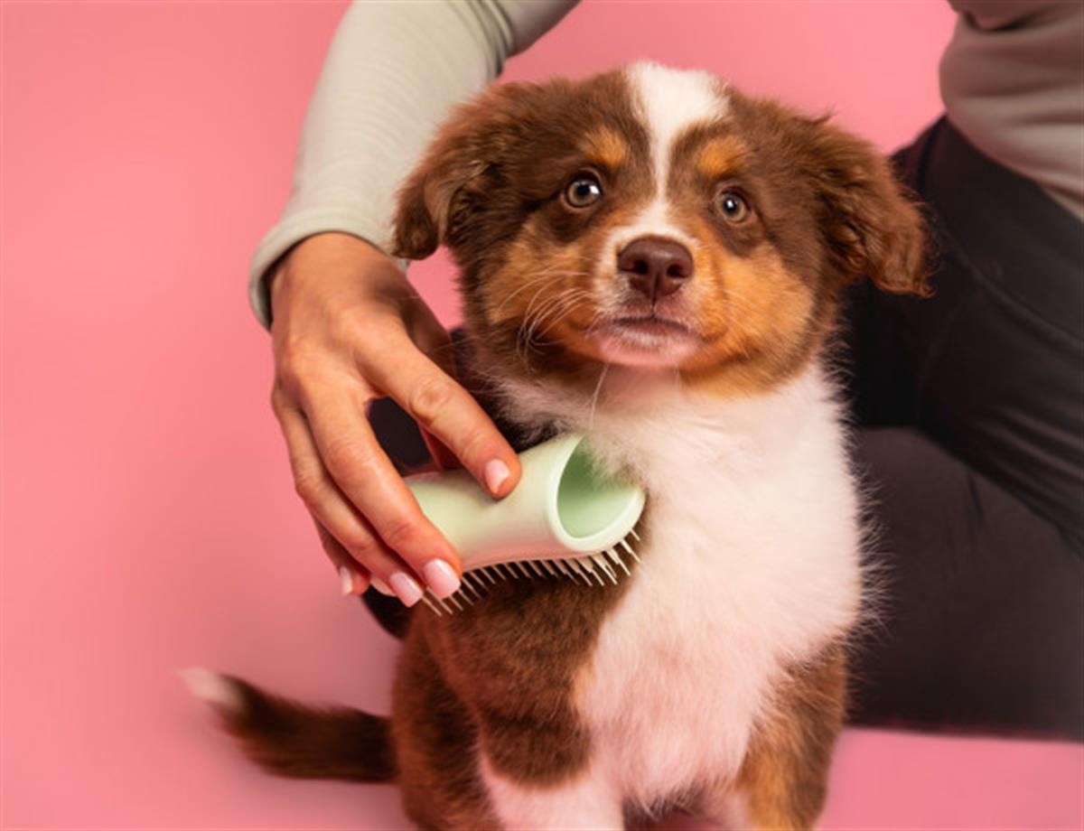 Pet Teezer-Puppy Brush-Green/Green