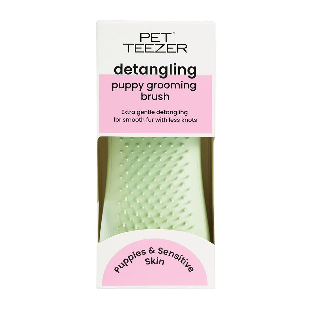 Pet Teezer-Puppy Brush-Green/Green