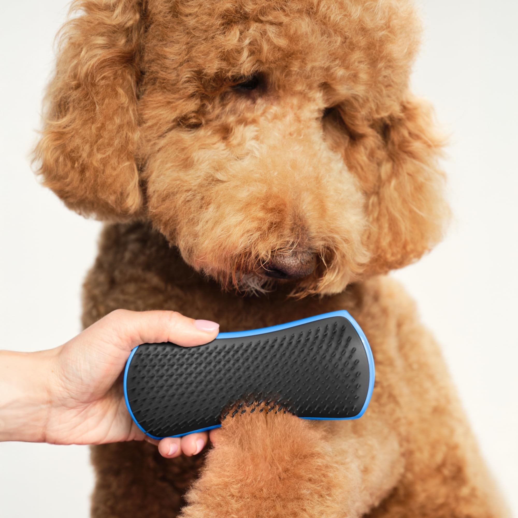 Pet Teezer - Detangling - Blue / Grey-5060926680576