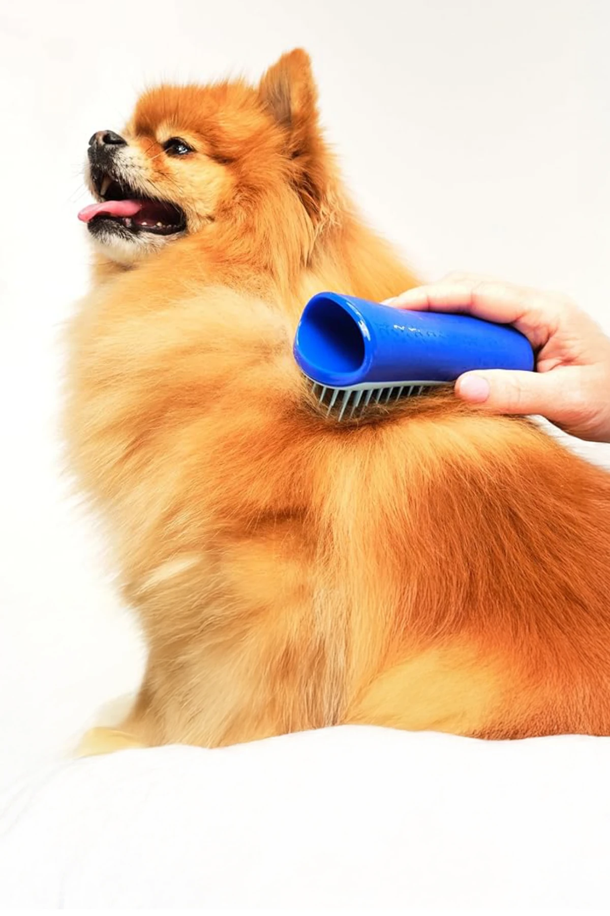 Pet Teezer - Deshedding Small - Blue / Light Blue