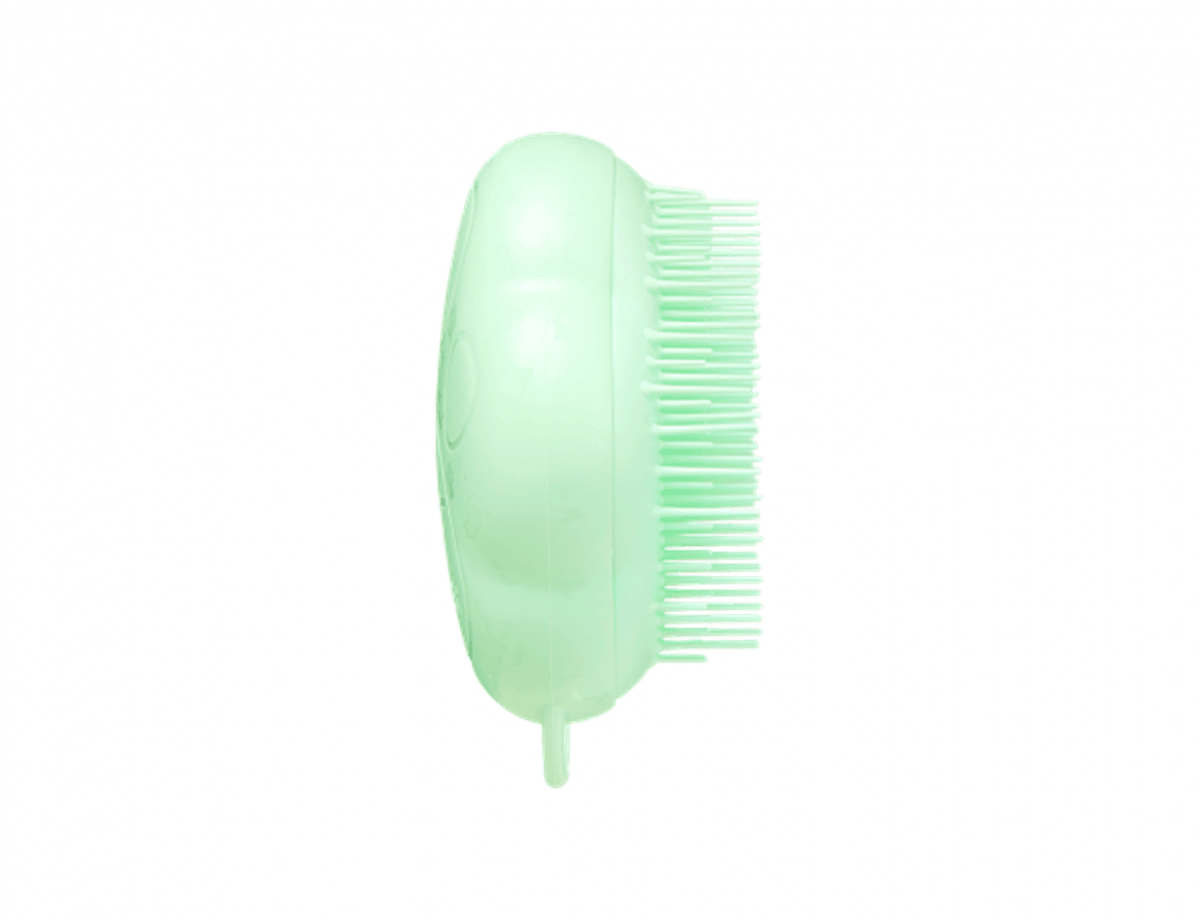 Cat Teezer-Cat Brush Green