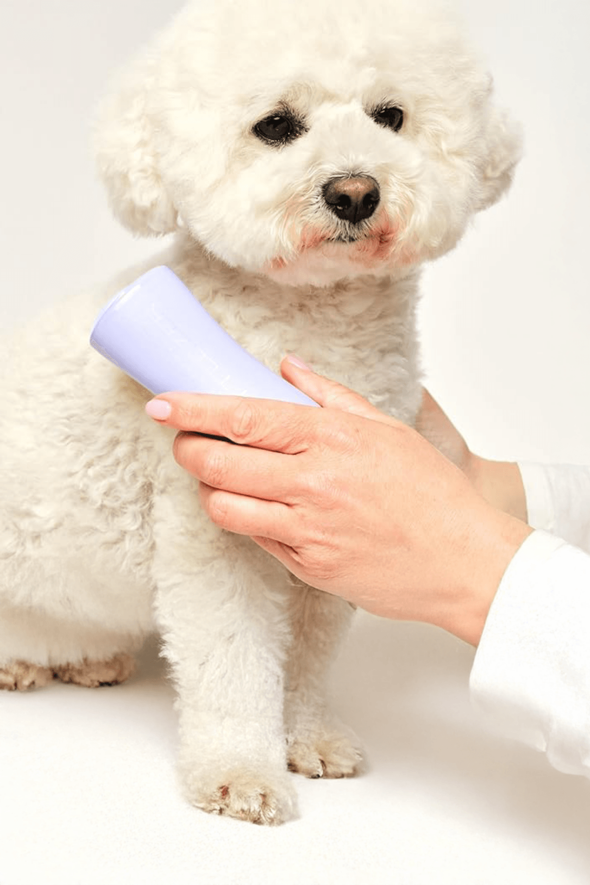 Pet Teezer Small Detangling - Lilac / Yellow
